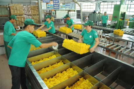 Montée en flèche des exportations vietnamiennes de caoutchouc en Chine